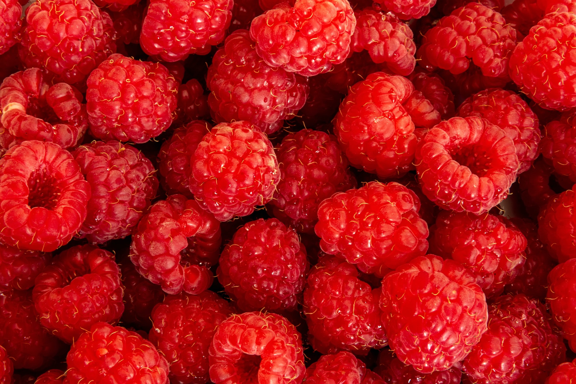 Ripe raspberries. Berries.Scarlet. Raspberry background. Raspberry surface
